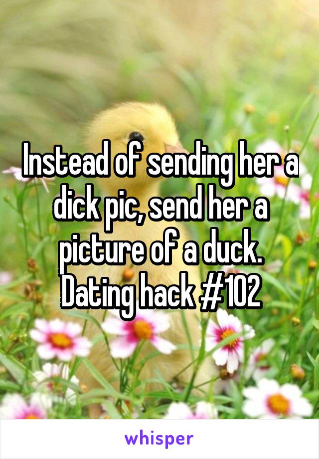 Instead of sending her a dick pic, send her a picture of a duck. Dating hack #102