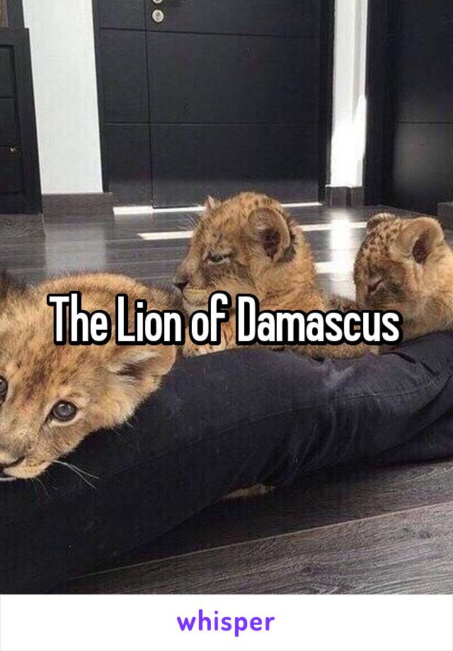 The Lion of Damascus 