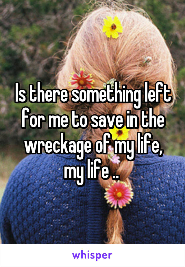 Is there something left for me to save in the wreckage of my life, my life .. 
