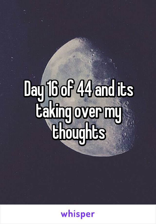Day 16 of 44 and its taking over my thoughts