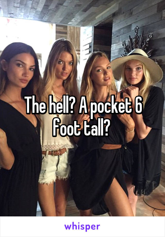 The hell? A pocket 6 foot tall? 