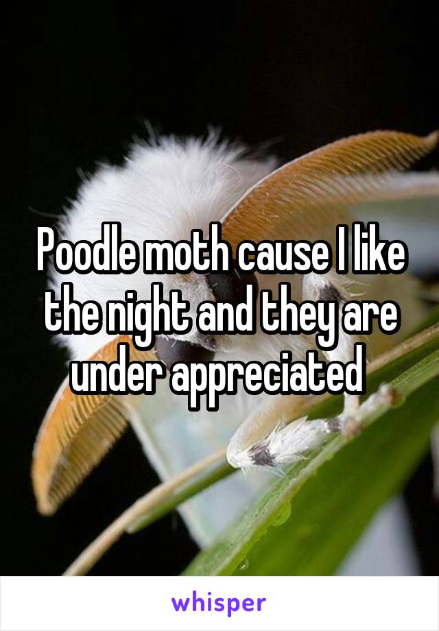 Poodle moth cause I like the night and they are under appreciated 
