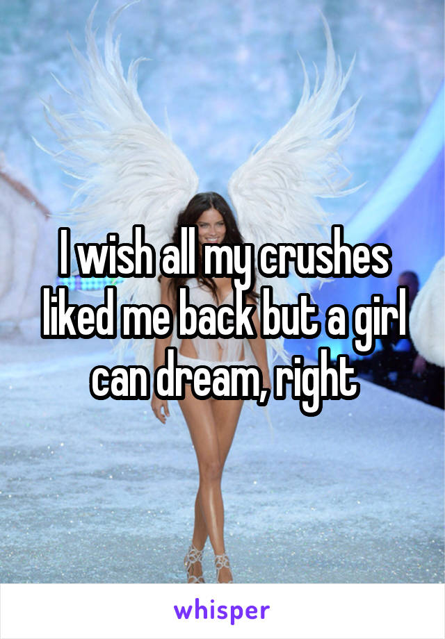 I wish all my crushes liked me back but a girl can dream, right