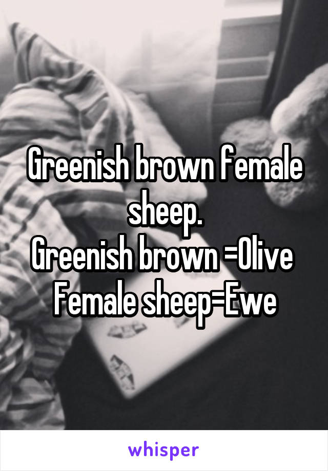 Greenish brown female sheep.
Greenish brown =Olive 
Female sheep=Ewe