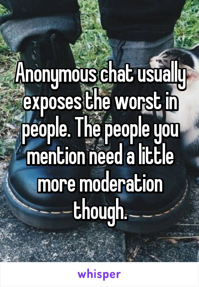Anonymous chat usually exposes the worst in people. The people you mention need a little more moderation though.