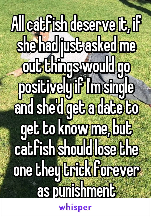 All catfish deserve it, if she had just asked me out things would go positively if I'm single and she'd get a date to get to know me, but catfish should lose the one they trick forever as punishment