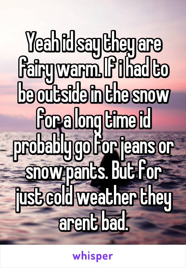 Yeah id say they are fairy warm. If i had to be outside in the snow for a long time id probably go for jeans or snow pants. But for just cold weather they arent bad.