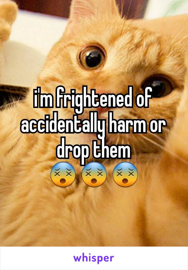 i'm frightened of accidentally harm or drop them                  😵😵😵