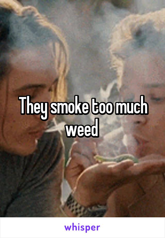 They smoke too much weed 