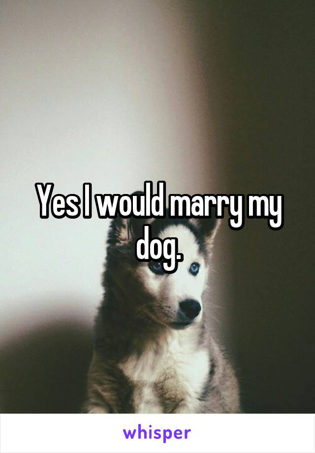 Yes I would marry my dog.