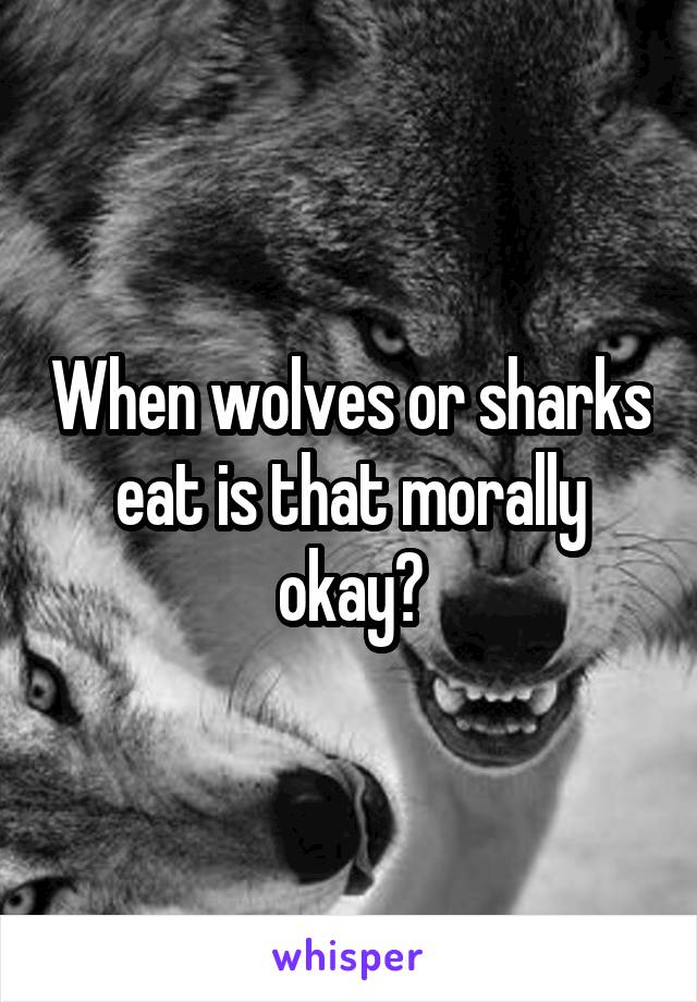 When wolves or sharks eat is that morally okay?