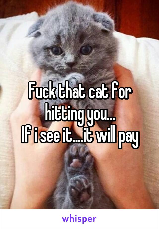Fuck that cat for hitting you...
If i see it....it will pay