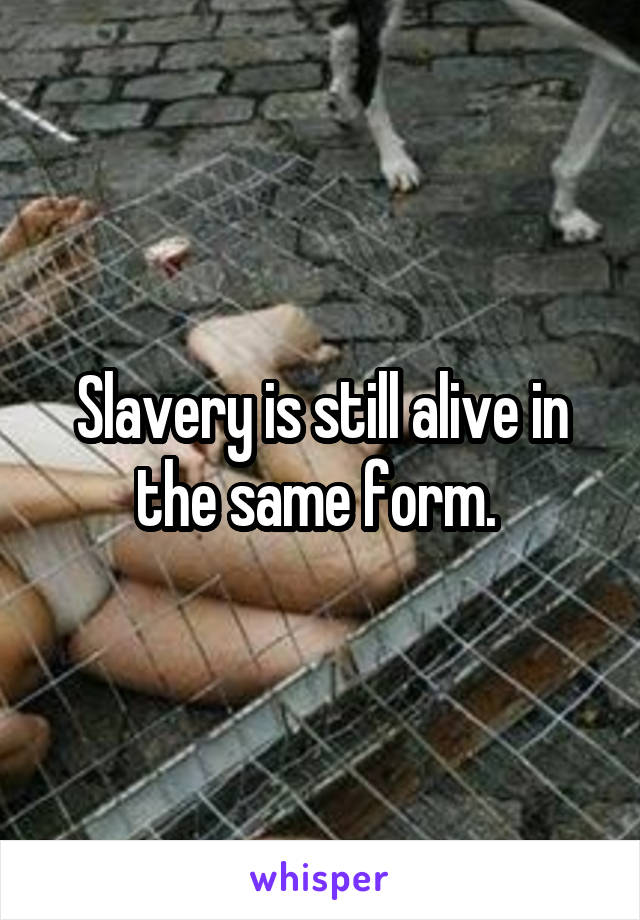 Slavery is still alive in the same form. 