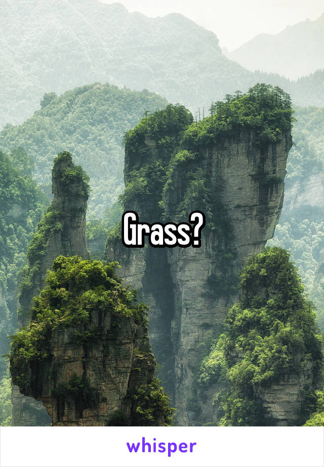 Grass?