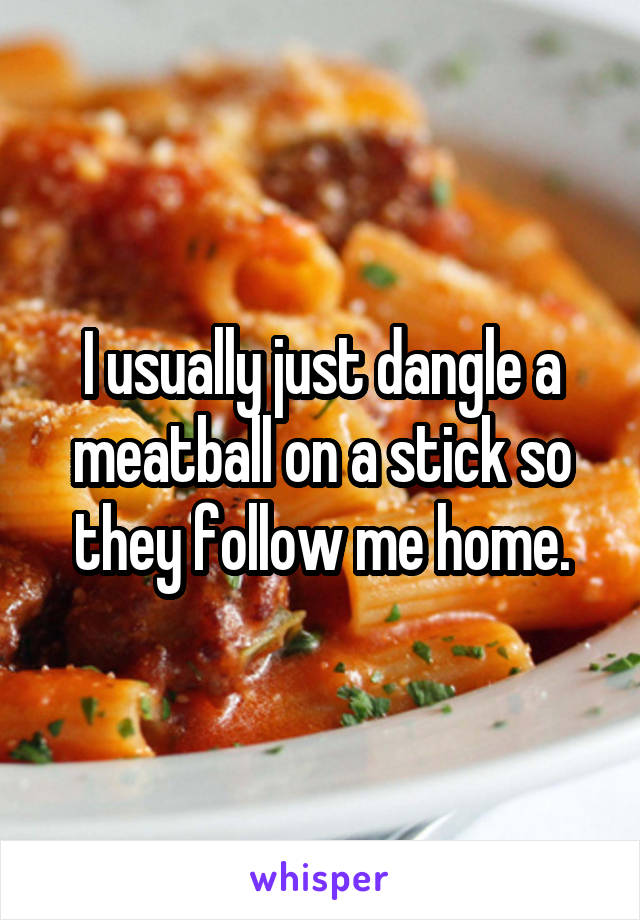 I usually just dangle a meatball on a stick so they follow me home.