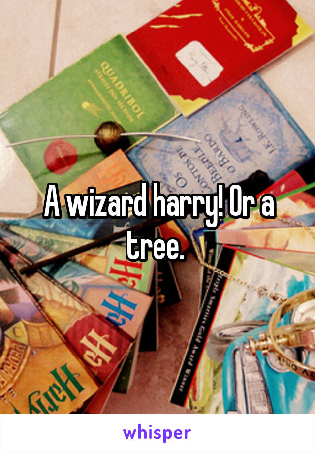 A wizard harry! Or a tree. 