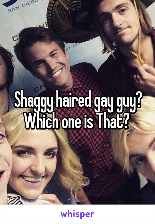Shaggy haired gay guy? Which one is That? 