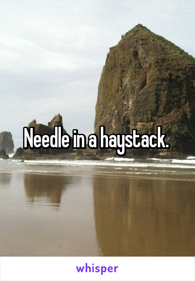 Needle in a haystack. 