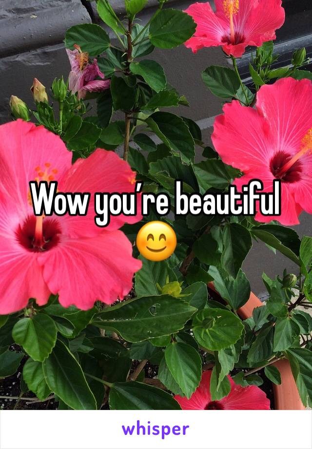 Wow you’re beautiful 😊