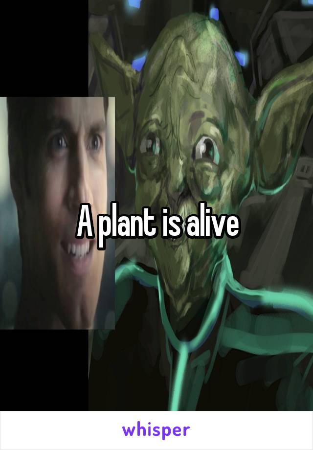 A plant is alive