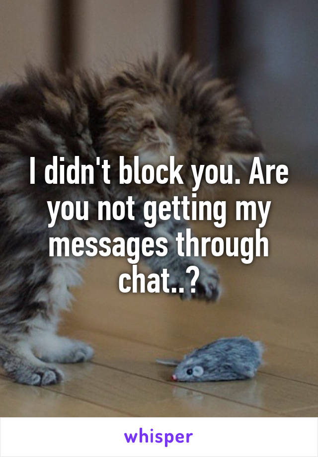 I didn't block you. Are you not getting my messages through chat..?