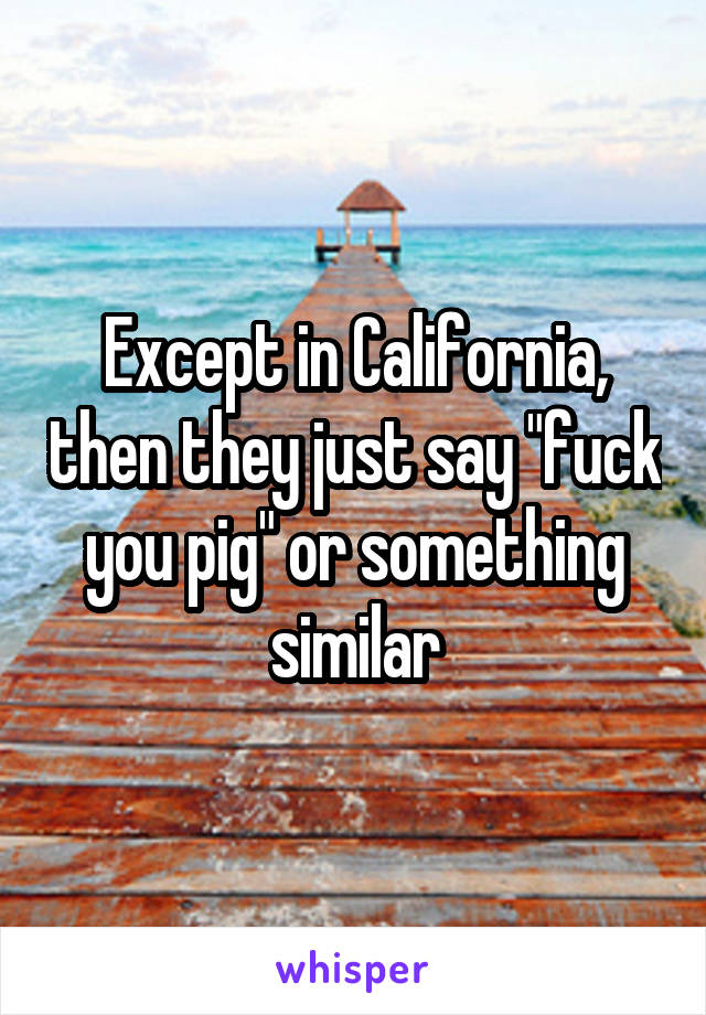 Except in California, then they just say "fuck you pig" or something similar