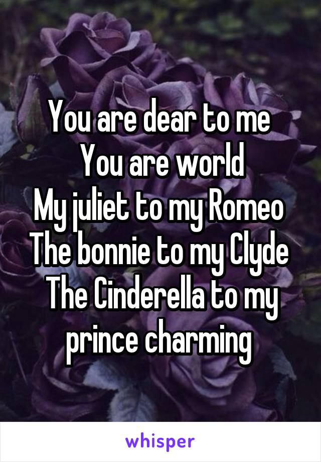 You are dear to me 
You are world
My juliet to my Romeo 
The bonnie to my Clyde 
The Cinderella to my prince charming 
