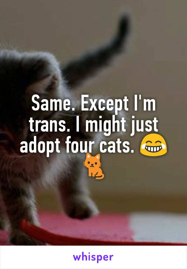 Same. Except I'm trans. I might just adopt four cats. 😂🐈
