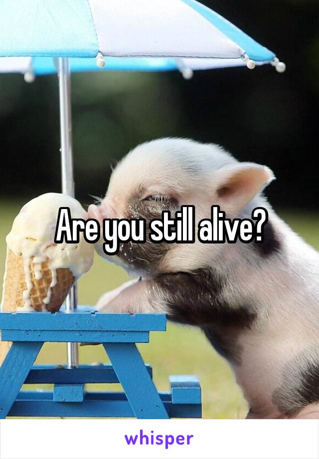 Are you still alive?