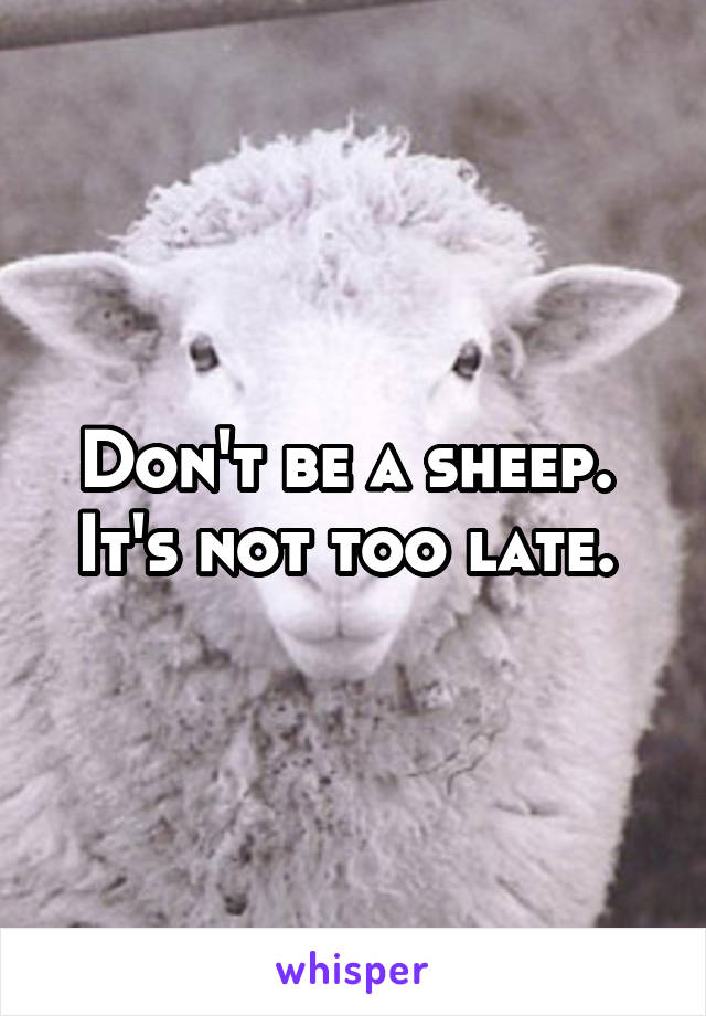 Don't be a sheep.  It's not too late. 