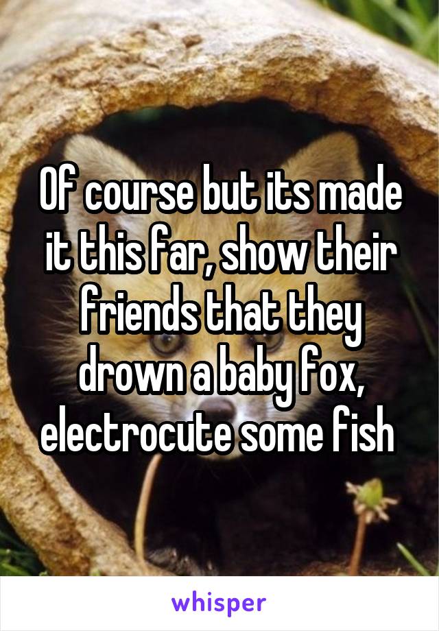 Of course but its made it this far, show their friends that they drown a baby fox, electrocute some fish 