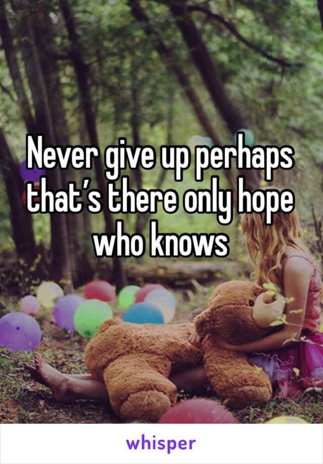 Never give up perhaps that’s there only hope who knows 