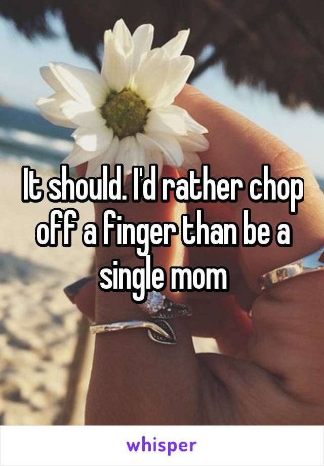 It should. I'd rather chop off a finger than be a single mom