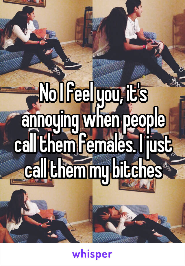 No I feel you, it's annoying when people call them females. I just call them my bitches