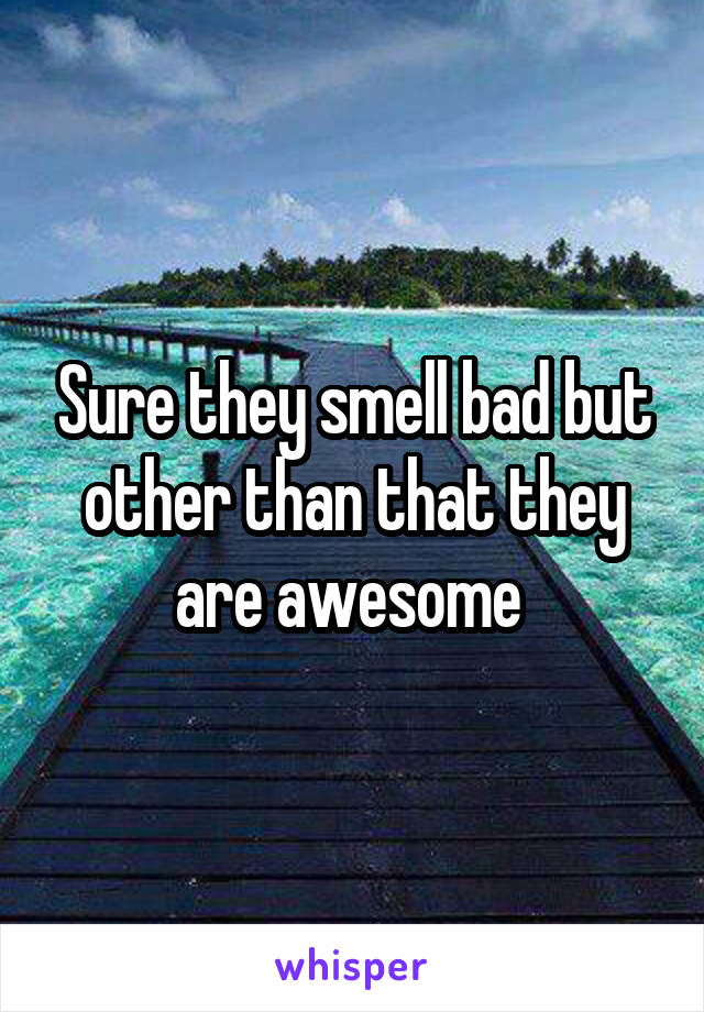 Sure they smell bad but other than that they are awesome 