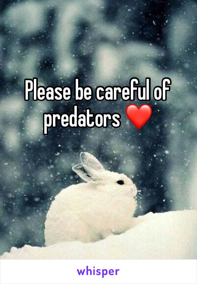 Please be careful of predators ❤