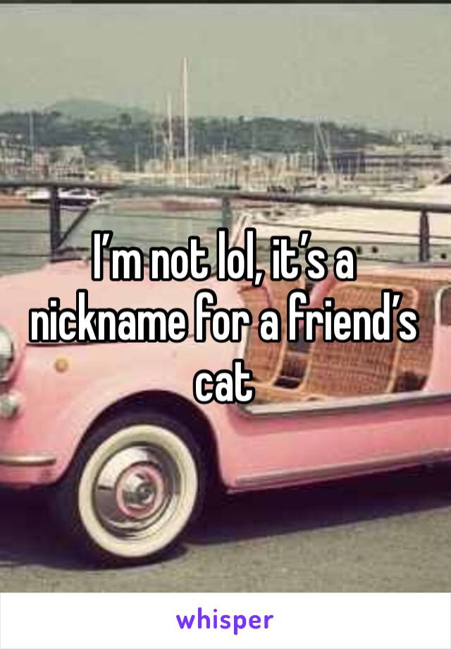 I’m not lol, it’s a nickname for a friend’s cat
