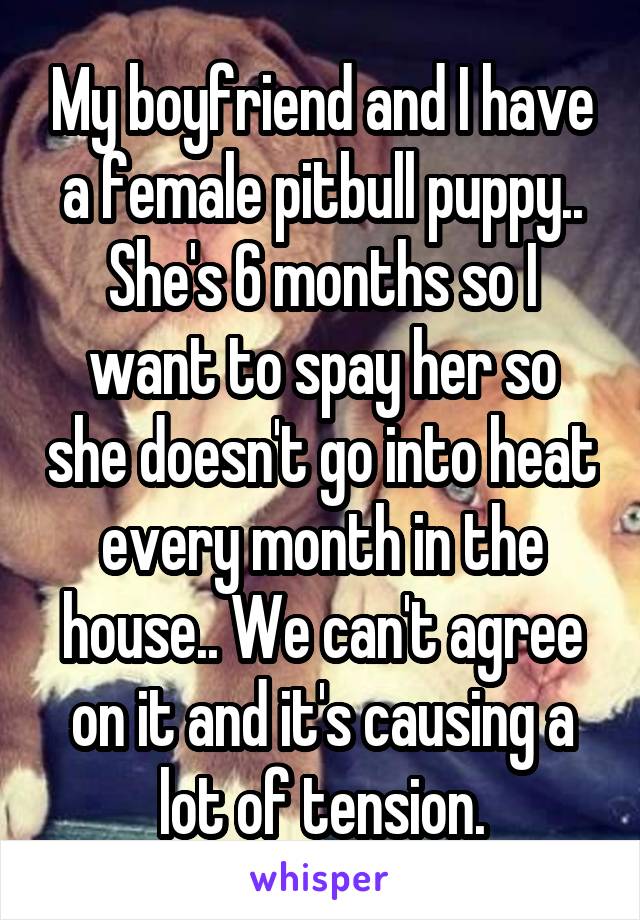 My boyfriend and I have a female pitbull puppy.. She's 6 months so I want to spay her so she doesn't go into heat every month in the house.. We can't agree on it and it's causing a lot of tension.