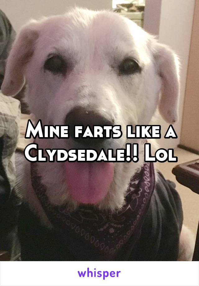 Mine farts like a Clydsedale!! Lol