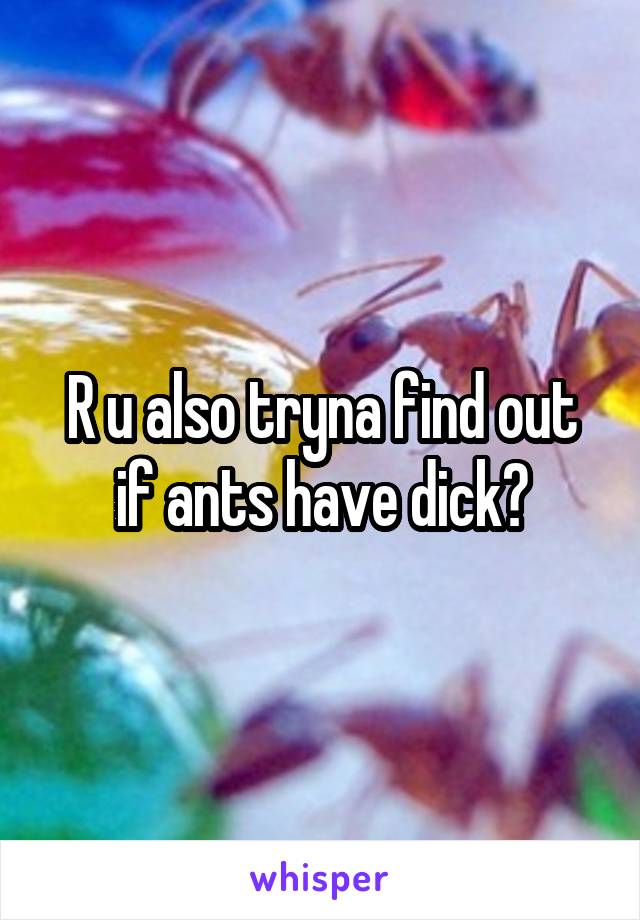 R u also tryna find out if ants have dick?