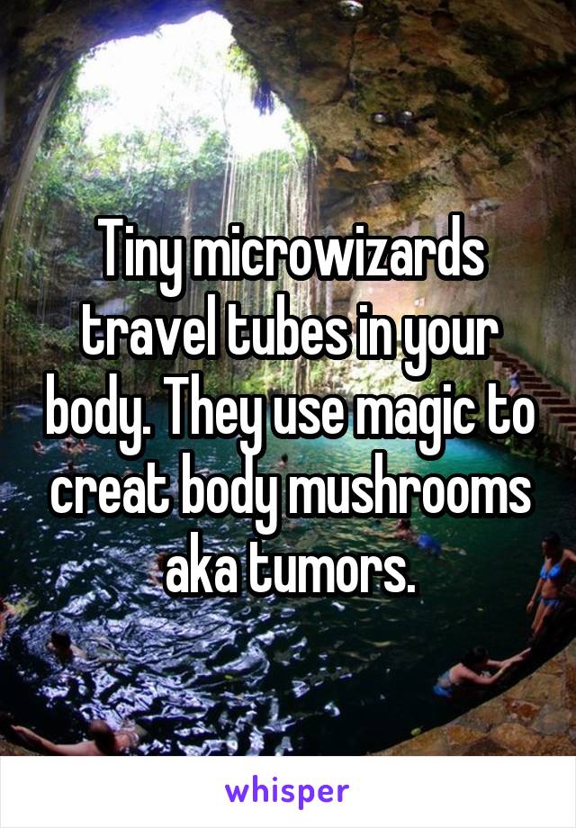 Tiny microwizards travel tubes in your body. They use magic to creat body mushrooms aka tumors.