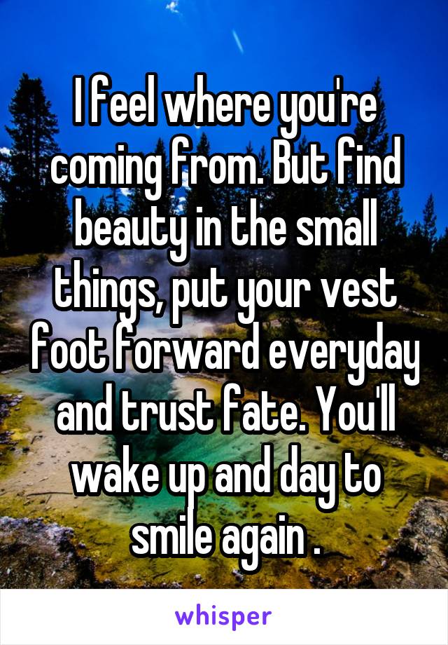 I feel where you're coming from. But find beauty in the small things, put your vest foot forward everyday and trust fate. You'll wake up and day to smile again .
