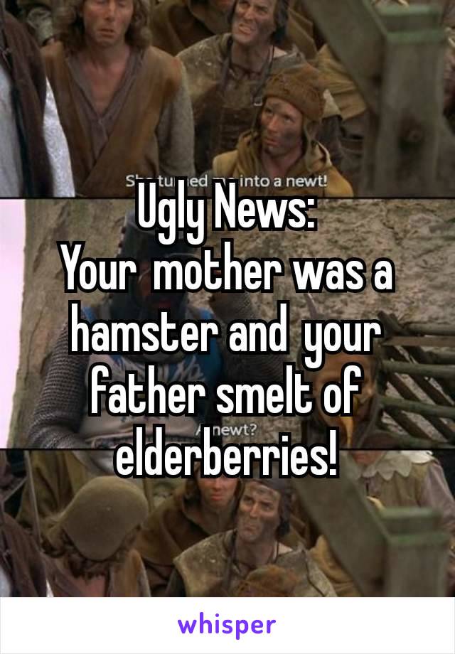 Ugly News: Your mother was a hamster and your father smelt of elderberries!
