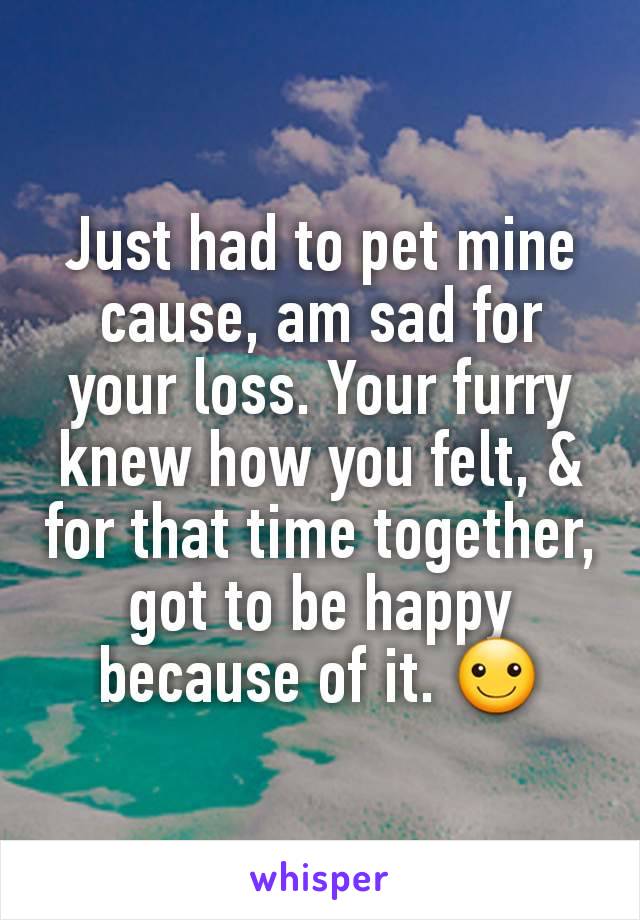 Just had to pet mine cause, am sad for your loss. Your furry knew how you felt, & for that time together, got to be happy because of it. ☺️