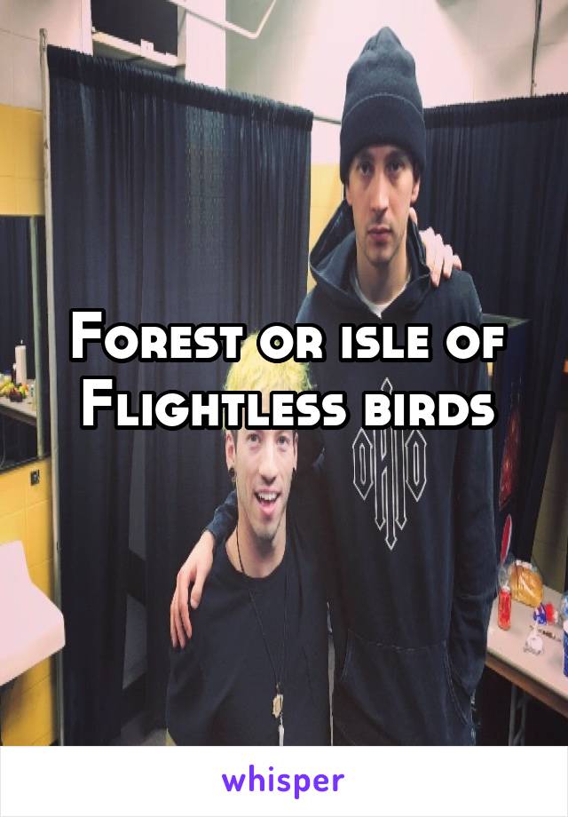 Forest or isle of Flightless birds
