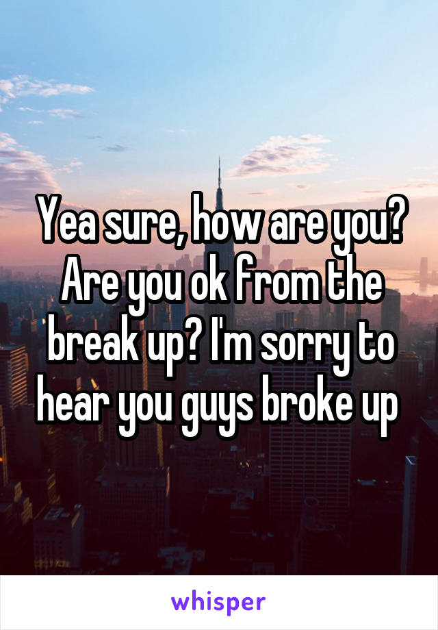 Yea sure, how are you? Are you ok from the break up? I'm sorry to hear you guys broke up 