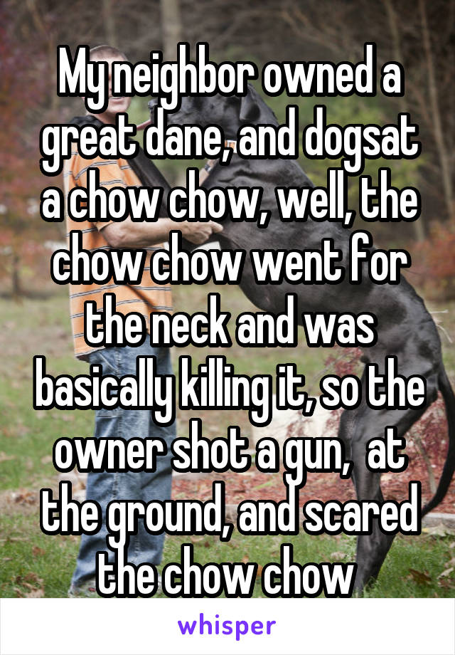 My neighbor owned a great dane, and dogsat a chow chow, well, the chow chow went for the neck and was basically killing it, so the owner shot a gun,  at the ground, and scared the chow chow 