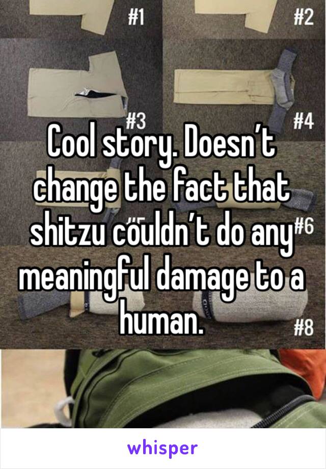 Cool story. Doesn’t change the fact that shitzu couldn’t do any meaningful damage to a human.  