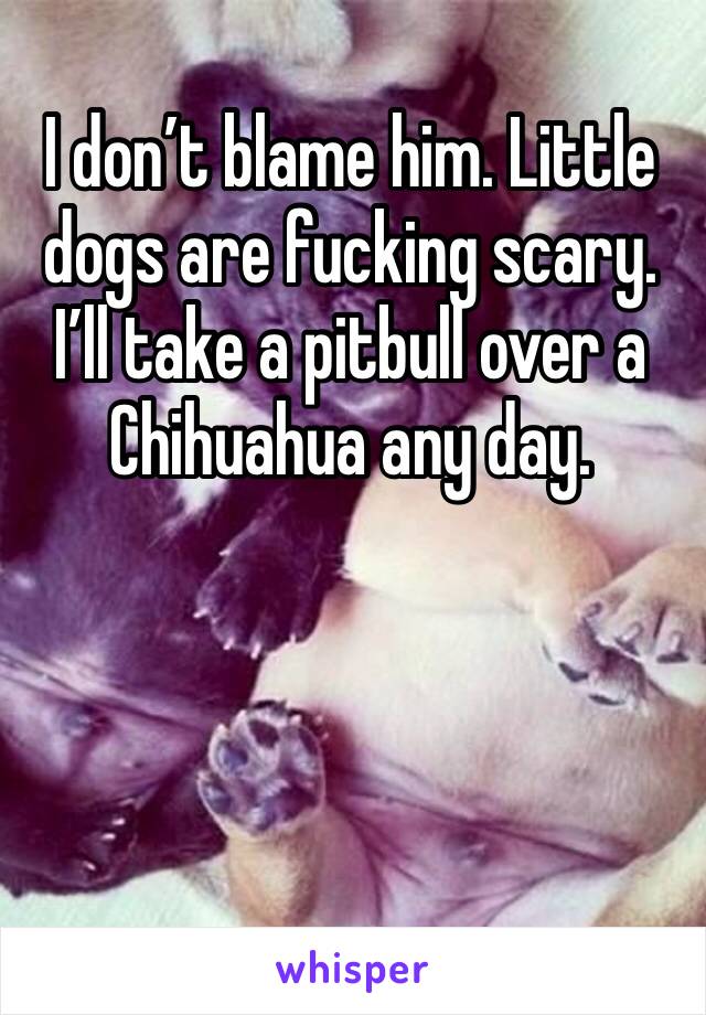 I don’t blame him. Little dogs are fucking scary. I’ll take a pitbull over a Chihuahua any day.