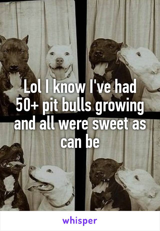 Lol I know I've had 50+ pit bulls growing and all were sweet as can be
